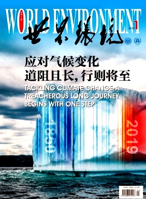 绷